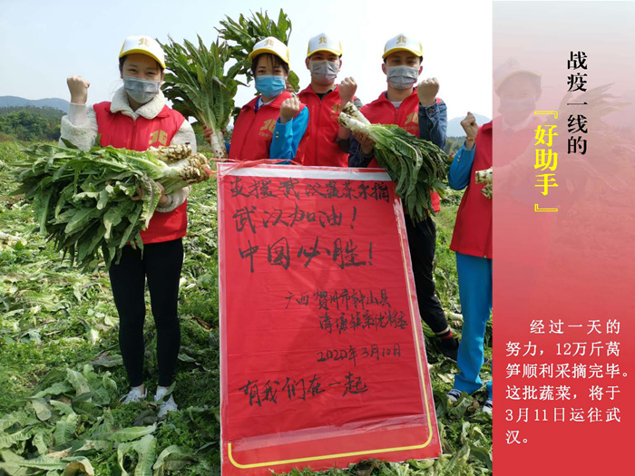 爽爽窝窝午夜精品一区二区